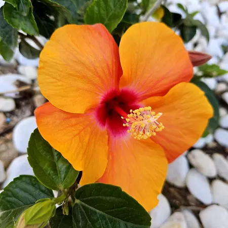 Apartman Casa Veintiuno En Mealindy