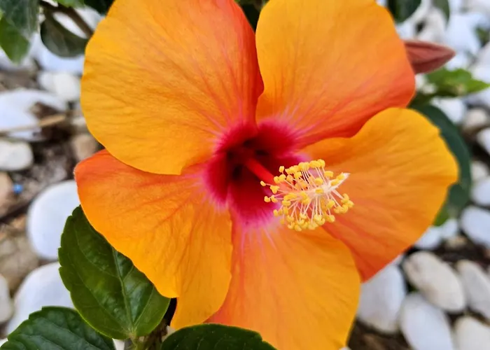 アパート Casa Veintiuno En Mealindy